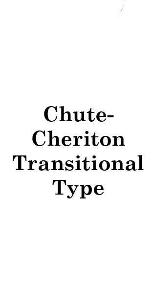 Chute-Cheriton Transitional Type