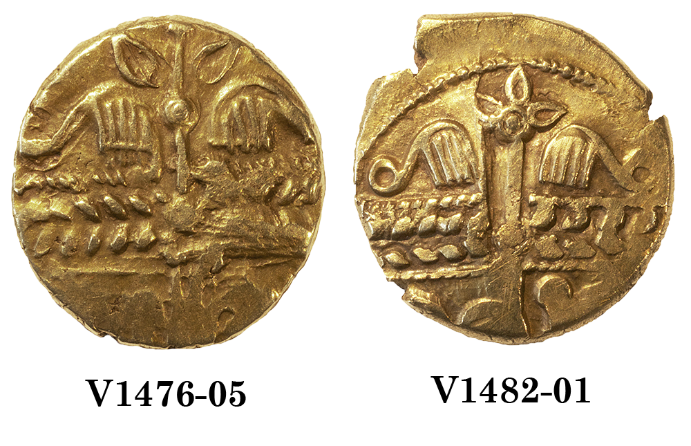 V1476-05 and V1482_01